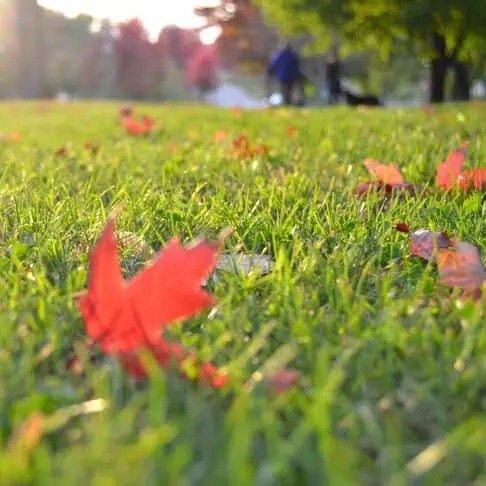 Why Choose River View Estates and Kansas City